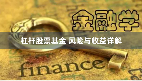 杠杆股票基金 风险与收益详解