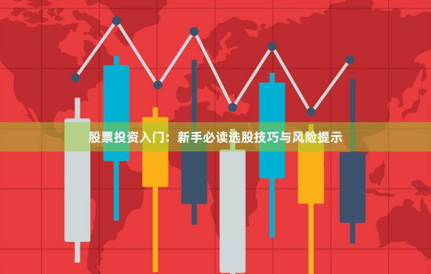 股票投资入门：新手必读选股技巧与风险提示
